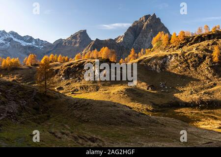 Herbstliche Blick bei Sonnenuntergang in die Berge von Alpe Devero vom Laghi del Sangiatto. Antigorio Tal, Piemont, Italien. Stockfoto