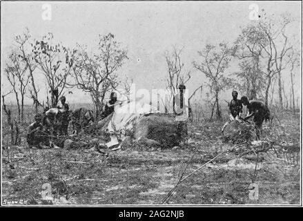 . In den entlegensten Barotseland; ein Bericht über eine Reise von über 8.000 Meilen durch die wildesten und abgelegensten Teile von Lewanika des Empire. ronounced es zufriedenstellend. Später, Masungun - dungu goss mir die Geschichte der Kakengi, Chinyamas, Streit mit ihm, jetzt seine greatesttrouble. Anscheinend ist der Kakengi hatte einige secretgrudge gegen Masungundungu und ein paar weeksbefore unserer Ankunft den Kulminationspunkt wasreached durch die Tatsache, dass die wasblown Kakengis Haus in einen heftigen Sturm. Diese Ruine von hishomestead er prompt zu Masungun - dungus bösartige Zauberei zugeschrieben. Natürlich, diese Höhle Stockfoto