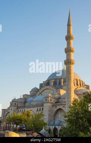 Istanbul, Türkei - 7. September 2019. Touristen genießen Sie den Blick auf das 16. Jahrhundert Suleymaniye Moschee, die Größte osmanische Moschee in der Stadt Stockfoto
