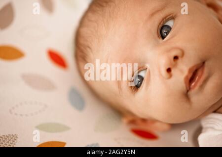 Nahaufnahme des Baby's Kopf. Stockfoto