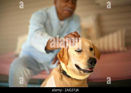 Älterer Mann petting seinen Hund auf seiner Veranda. Stockfoto