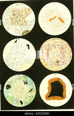 . Die Geologie von New Hampshire: einen Bericht erstellt, der die Ergebnisse der Erkundungen durch die Legislative bestellt. Teil IV. Platte lis. Stockfoto