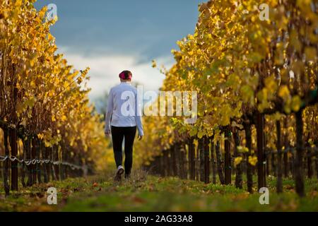 Mitte der erwachsenen Frau zu Fuß durch einen Obstgarten tragen sportliche Kleidung. Stockfoto