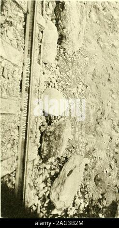 . Die Geologie von New Hampshire: einen Bericht erstellt, der die Ergebnisse der Erkundungen durch die Legislative bestellt. -4:*^ N. Stockfoto