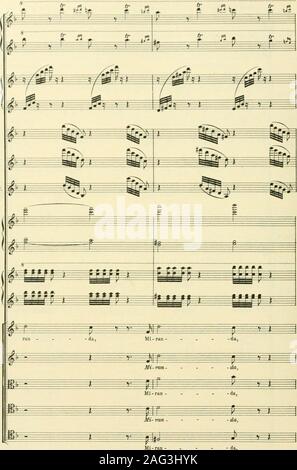 . Instrumentationslehre von Hector Berlioz. Ergänzt und Pfr. von Richard Strauss. 17 S. Stockfoto