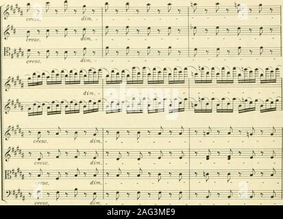 . Instrumentationslehre von Hector Berlioz. Ergänzt und Pfr. von Richard Strauss. Fas. Stockfoto