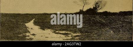 . Kunst und Künstler unserer Zeit. HOMEWARD-bound. Von dem Gemälde von E.E. SIMMONS. Mit GENEHMIGUNG DER HERREN, KNOEDLER S: CO. Der Dampfgarer * La Champagne-botli diese Bilder im Salon von 1888. Herr Boggs hat ein fruchtbares Feld für solche Themen fanden, wie er in die Themse unter London mag; einer der III 298 KUNST UND KÜNSTLER UNSERER ZEIT. Seine besten Bilder ist tlie Auf der Themse, im Salon von 1884 ausgestellt. Der überfüllten Schiff-ping, Lastkähne, tow-Boote und Schiffe, Dreimaster mit den Häusern über die Ufer die Hälfte Scharen - in Nebel verhüllt, machen eine auffallende Zusammensetzung. Der Künstler hat auch ich^ ainted Severa Stockfoto