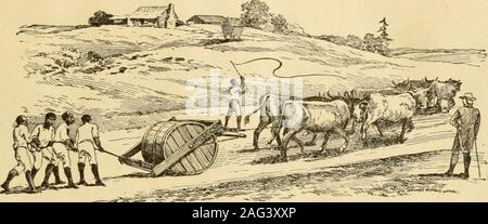 . Die Geschichte der Landwirtschaft in den Vereinigten Staaten. in den Kolonien. Eine Beschreibung der Plantage Methoden zeigen, weshalb viele der Pflanzmaschinen nicht reich an alles aber Land andslaves geworden. Bei der Beschaffung von Tabak ein Samen in der earlyspring gestartet wurde; später, die jungen Pflanzen wurden aus sechs tonine Füße auseinander in jede Richtung. Wenn die Pflanzen wereabout einen Fuß hoch Sie gekrönt wurden und beschnitten, leav-ing nur sieben oder acht Blätter. Nach diesem, das Feld wasgone über ständig, der Boden zwischen den Reihen werden - kommende hart geschlagenen Pfaden; das Unkraut gehalten wurden, die kolonialen Landwirtschaft 63 von hoei Stockfoto