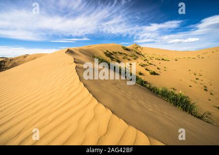 Schöne helle Aufnahme einer Wüstenszene mit Wanderwegen Der Sand und der Himmel im Hintergrund Stockfoto