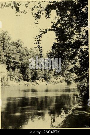 . ... Schmutz ist. FLINT CREEK PLATANEN Gipfel bietet einen herrlichen Panoramablick auf die überblicküber alle LaFayette und die Wabash Valley. ein kleiner, aber schöner, hollowis die Soldaten Schlucht - langen, gekrümmten, mit sehr steilen und dicht bewaldete Seiten. Crystal Springs der reinsten, Kältesten waterare undersome ständig heraus Brechen von Gestein oder kiesigen Bank und minglingwith den lebhaften kleinen Bach. Bei allseasons Dies ist die Homepage von innumerablewild Blumen anil Farne, und ist der shadedretreat viele seltene Vögel. Kehren wir zu unserem Fluss-Straße, Whichwe an der Trail links, ist es für Unternehmen mit der haveparted gefunden Stockfoto