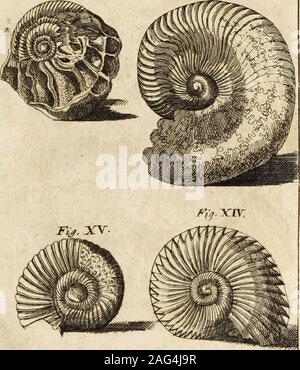 . Varia curiosa, sive, Ephemeridum medizinisch-physicarum Germanicarum. I. Stockfoto