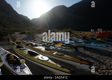 Kajakfahren, Espiritu Santo, Baja California Sur, Mexiko. Stockfoto