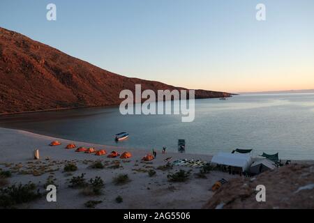 Kajakfahren, Espiritu Santo, Baja California Sur, Mexiko. Stockfoto