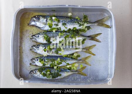 High-Angle-Schuss von gebackenen Sardinen Fisch in einem Metall Topf mit grünen Gewürzen Stockfoto