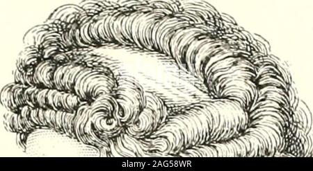 . Die offenen Hof. FRAU CHARLOTTE VON STEIN. Nach einem Gemälde von H. Meyer, 1880, in der Großen Herzöge Museumat Weimar. dignation, wie zum Beispiel in einem Brief an Frau von Stein, Mai 24,1776. Er sagte: Auch die Beziehung, die reinsten, schönsten und GOETHE S Verhältnis zu Frauen. 117 wahrsten, die außer zu meiner Schwester, die ich je von einer Frau besetzt, ist.... thusdisturbed Die Welt, die mir nichts sein kann, nicht wantthat sie etwas zu mir sein sollte. Während zu unterschiedlichen Zeiten Goethe mehrere friendshipswith difterent Frauen geschätzt, und während seiner poetischen Natur schien Stimulation in difterent Weg zu needa Stockfoto