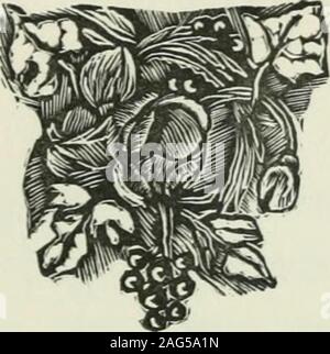 . Maria Chapdelaine: Récit du Canada français. nt clairement parlé et Elle sentait Quil fallaitobéir. Le Souvenir de ses autres devoirs ne vintquensuite, après Quelle se fût résignée, avec un soupir. Aima-Rose était Encore toute Petite; Sa mère étaitmorte et Il fallait bien Quil restât une Femme à lamaison. Mais en Vérité cétaient Les voix qui Lui avaientenseigné Sohn chemin. La Pluie crépitait sur les bardeaux du Toit, et lanature heureuse de Voir par lafenêtre envoyait lhiver Fini ouverte de petites bouffées de Brise tiède quisemblaient des soupirs daise. A Travers les heures de lanuit Maria Stockfoto