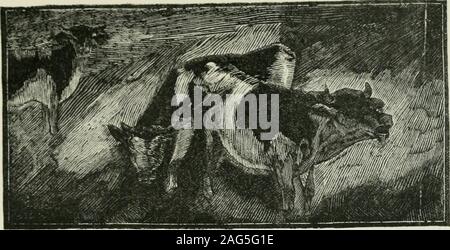 . Maria Chapdelaine: Récit du Canada français. 13. VII JUIN Arriva, et la sécheresse Bienvenue dutemps des foins devint persista et une Katastrophe. Ein de croire Chapdelaine il avait Les ny jamaiseu de sécheresse comme Celle-là, et Chaque jour Quel-que raison Nouvelle, qui était suggérée expliquait lasévérité divme. Lavoine et le Blé jaunirent Avant davoir atteintleur Croissance; le soleil incessant brûla lesregains lherbe et de Trèfle, et du Matin au soir Les vaches Affa - mées beuglèrent, La tête appuyée sur les clôtures. Ilfallut les surveiller sans répit, Auto même Les maigrescéréales Enc Stockfoto