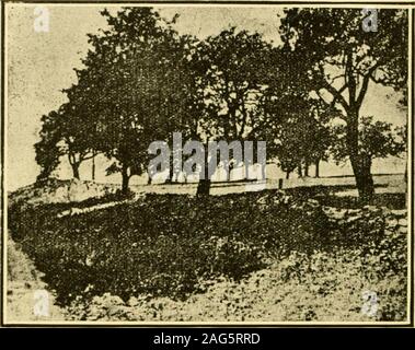 . Geschichte, genealogische und biographische, der Eaton Familien. s Der Standort des Fillmore Homestead. Nur die älteren Karten der Grafschaft zeigen, dass aPresident in dieser Umgebung geboren wurde. Vielen occupantsof, Land-Tag keine Ahnung haben, dass ein ChiefMagistrate der Republik hier zum ersten Mal sah das Licht. Die heutige Stadt von Summerhill wurde zuerst asLocke bekannt und dann als Plato. Die Unterzeichner des Kompro- Inszenierung wurde in einer Kabine auf orFebruary entweder 7. Januar 7, 1800, Behörden unterschiedliche im Datum log geboren. Sein Vater war Nathaniel Fillmore, ein Eingeborener von Ben-nington, VT, der sich in die andere verschoben wir Stockfoto