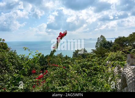 DA Nang, Vietnam - November 20, 2019: Tolle Aussicht über Da Nang von Linh Ung Pagoda in Son Tra Berg Stockfoto