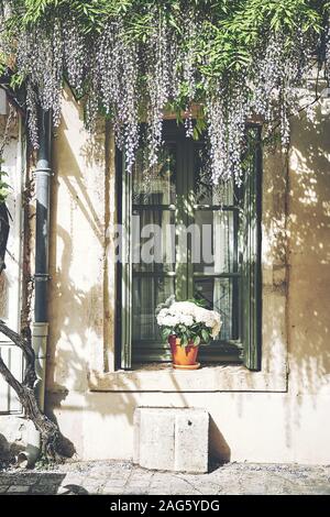 Vertikale Aufnahme eines Fensters mit einer Vase mit weißen Blumen auf der Fensterbank in Aigues Mortes, Frankreich Stockfoto