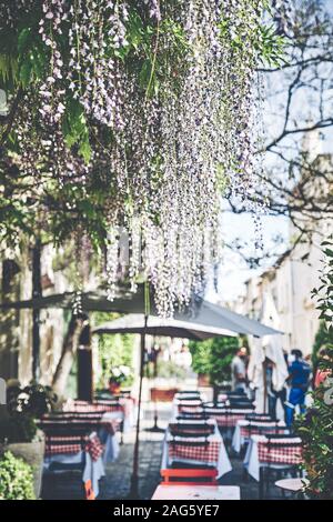 Vertikale Aufnahme einer Glyzinienpflanze, die in der Straße mit einem Café in Aigues Mortes, Frankreich, wächst Stockfoto