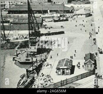 . Kommunale und offizielle Handbuch der Stadt Auckland, Neuseeland. AUCKLAND. Anzeigen FII Al. Stockfoto