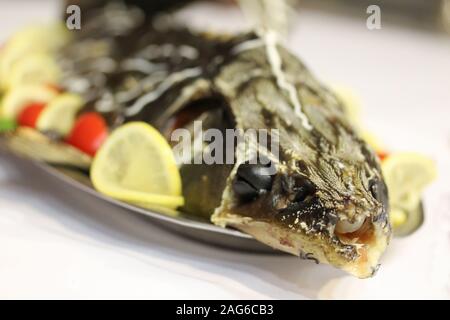 Gebackene Stör mit Tomaten, Salat und Zitronenscheiben. Schwarze Oliven in seinen Augen. Urlaub Teller auf die Platte auf weißer Tisch. Gefüllte Meeresfrüchte. Feier event Party im Restaurant Stockfoto
