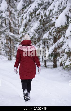 GULBENE, Lettland. 24. Dezember 2018. Frau das Tragen der roten Winterjacke, Wanderungen im verschneiten Wald. Verschneite Bäume und Wald Trail. Stockfoto