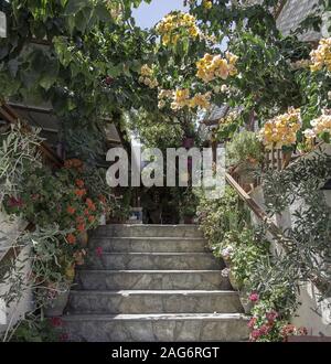 Schöne Aufnahme von Betontreppen umgeben von schönen Blumen und Grünpflanzen tagsüber Stockfoto