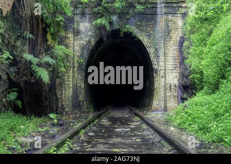 Schöne Aufnahme von Eisenbahnschienen umgeben von Natur zu führen Der dunkle Tunnel Stockfoto