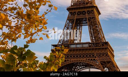 Eiffelturm mit Blätter im Herbst in Paris, Frankreich Stockfoto