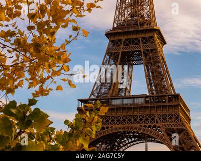 Eiffelturm mit Blätter im Herbst in Paris, Frankreich Stockfoto