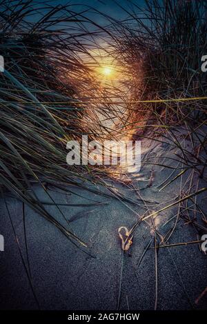 Atemberaubende vertikale Low-Angle-Aufnahme des Sonnenaufgangs Der Strand Stockfoto