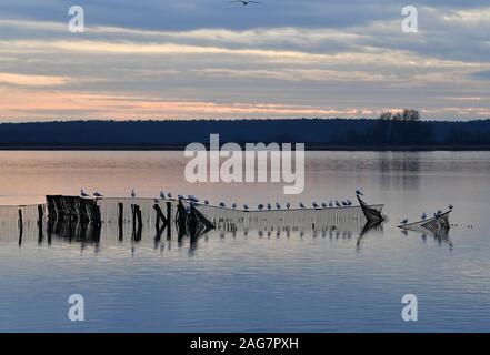 Rangsdorf, Deutschland. 16 Dez, 2019. Abendhimmel über Rangsdorfer See. Die 244 Hektar große See ist nur 1,5 Meter tief in den Plätzen und ein beliebter Rastplatz für viele Vogelarten. Credit: Soeren Stache/dpa-Zentralbild/ZB/dpa/Alamy leben Nachrichten Stockfoto