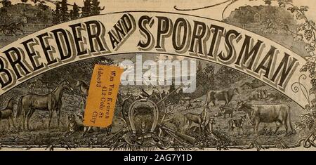 . Züchter und Sportler. ^^ SMITH GUNS sind Tor alle Arten von Munition... " S2 SSE. Hunter Arms Co., Fulton, N 7 F. PHIL. B. BEKEART CO., San Francisco, Küste Vertreter I. TOI&gt;. XT-TTT. Nr. 333 "Geary Street. SAN FRANCISCO, Samstag, 5. Dezember 1903. SUBSCRIPTIONTHREE DOLLAR EIN TEAK Stockfoto