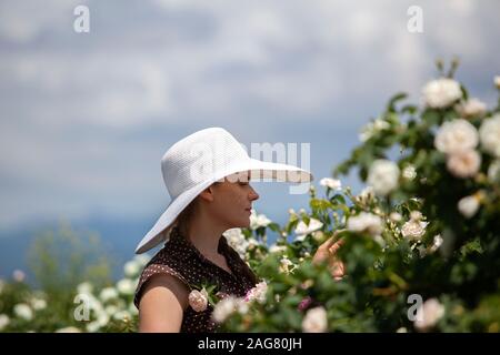 Schöne Frau im Retro-stil Polka Dot kleid und hut Holding ein zarter Strauss aus der Bulgarischen rosa und weiß frische Rosen im Frühjahr warmen sonnigen Tag wit Stockfoto