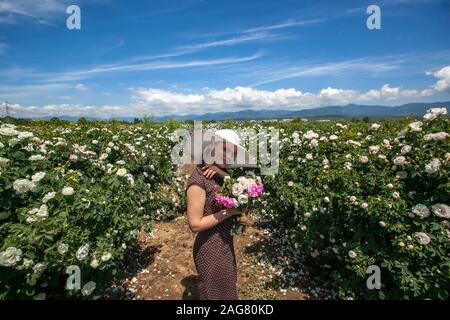 Schöne Frau im Retro-stil Polka Dot kleid und hut Holding ein zarter Strauss aus der Bulgarischen rosa und weiß frische Rosen im Frühjahr warmen sonnigen Tag wit Stockfoto