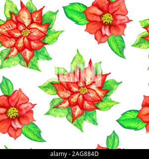 Rot Weihnachtsstern Blumen, Handgemalten Aquarell Illustration, nahtlose Muster auf weißem Hintergrund Stockfoto