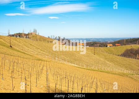 Panorama der Weinberge. Leibnitz Gebiet südlich Steiermark Ort Stockfoto