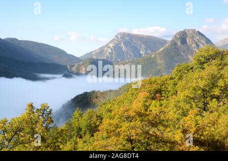 Misty Herbst Landschaft im Parc Naturel Régional du Verdon Gorge Nature Reserve Alpes-de-Haute-Provence Provence Frankreich Stockfoto