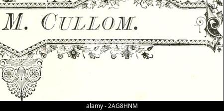 . Porträt und biographischen Aufzeichnung von Winnebago und Boone County, Illinois, mit biografischen Skizzen von Prominenten und repräsentative Bürger, zusammen mit Biographien aller Gouverneure des Staates und der Präsidenten der Vereinigten Staaten. Stockfoto