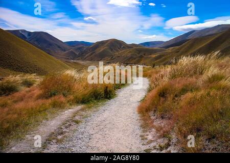 Ein Fußweg führt durch eine wunderschöne Hügellandschaft mit trockener Vegetation unter blauem Himmel, die auf der neuseeländischen Südinsel Canterbury zu sehen ist. Stockfoto