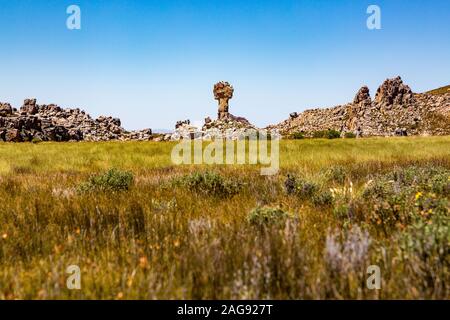 Die felsformation Malteserkreuz - ein beliebtes Wanderziel in der Cederberg, mit Fynbos Vegetation, Südafrika Stockfoto