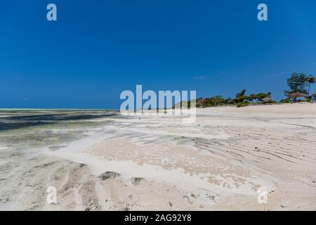 Schöne Aufnahme eines Strandes unter dem klaren Himmel in Sansibar, Ostafrika Stockfoto