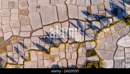 Arial Schuß von landwirtschaftlichen Flächen mit Datum Bäume im Iran Stockfoto