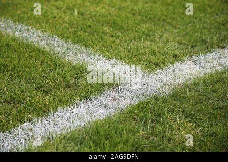 Nahaufnahme von lackierten weißen Linien auf einem grünen Fußball In Deutschland Stockfoto