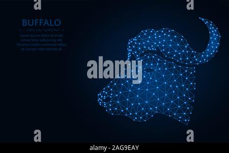 Büffel kopf Low-poly-Design, Tier Drahtmodell mesh polygonalen Vector Illustration aus Punkten und Linien auf dunkelblauem Hintergrund gemacht Stock Vektor