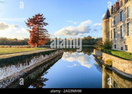 Frankreich, Paris, La Bussiere, Chateau de La Bussiere Park und Gärten, Schloss Fassade, Teich und kahlen Zypresse (Distichum Taxodium distichum) im Herbst // Frankreich, L Stockfoto