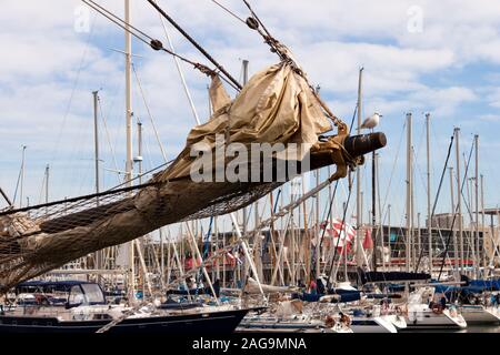 Bugspriet der ein Segelschiff mit eingerollt Jibs und Möwe im Hafen mit angelegten Yachten im Hintergrund. Stockfoto