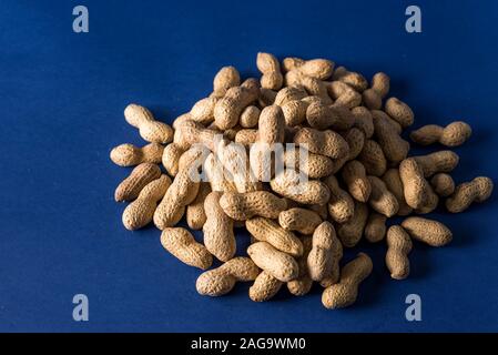 Ein Haufen von gerösteten Erdnüssen auf eine trendige blauer Hintergrund mit Platz für Design und Ihren Text. Konzept. Landwirtschaft Stockfoto